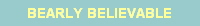BEARLY BELIEVABLE
